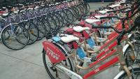 Imagine atasata: biciclete trw 03.jpg